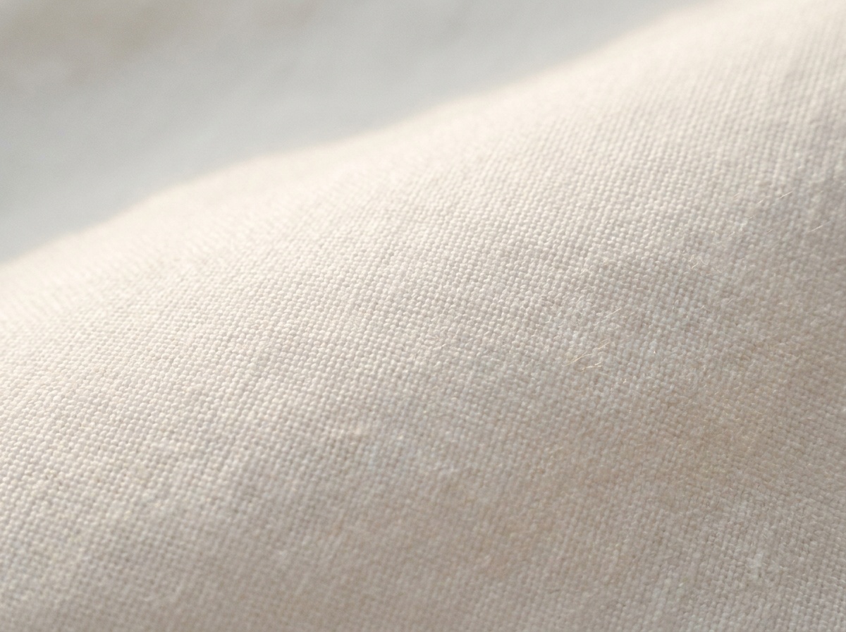 Macro reference image for Cambric