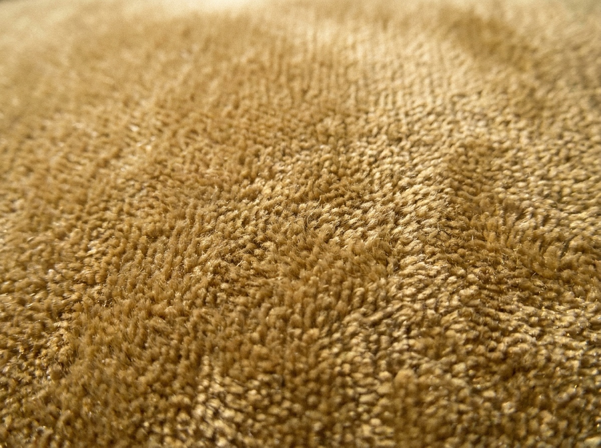 Macro reference image for Chenille