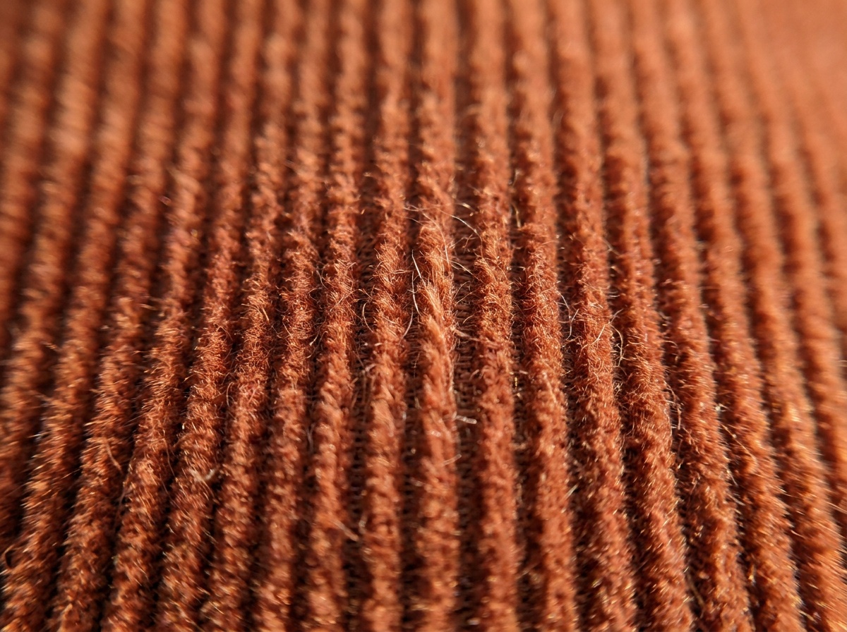 Macro reference image for Needlecord