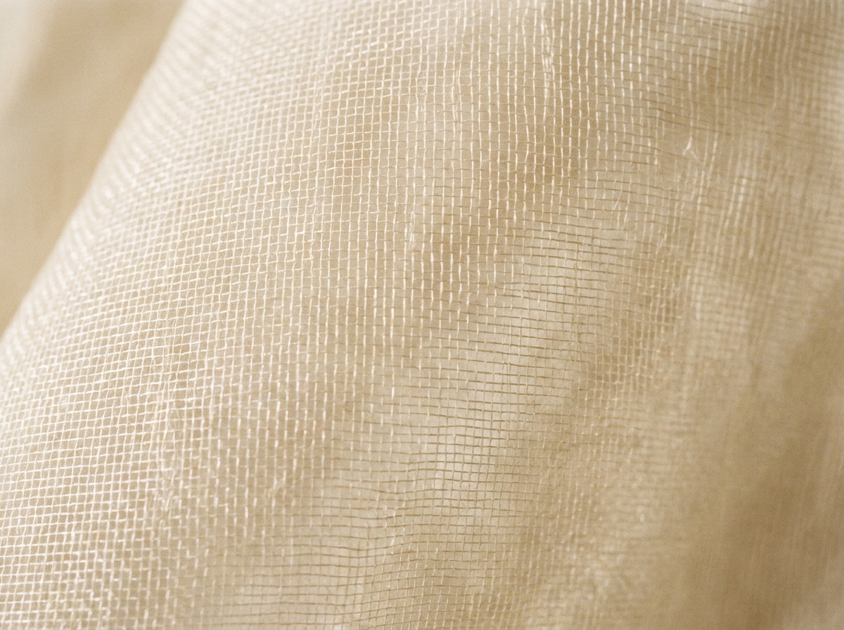 Macro close-up of Silk Organza, Sheer plain weave, tightly twisted yarns