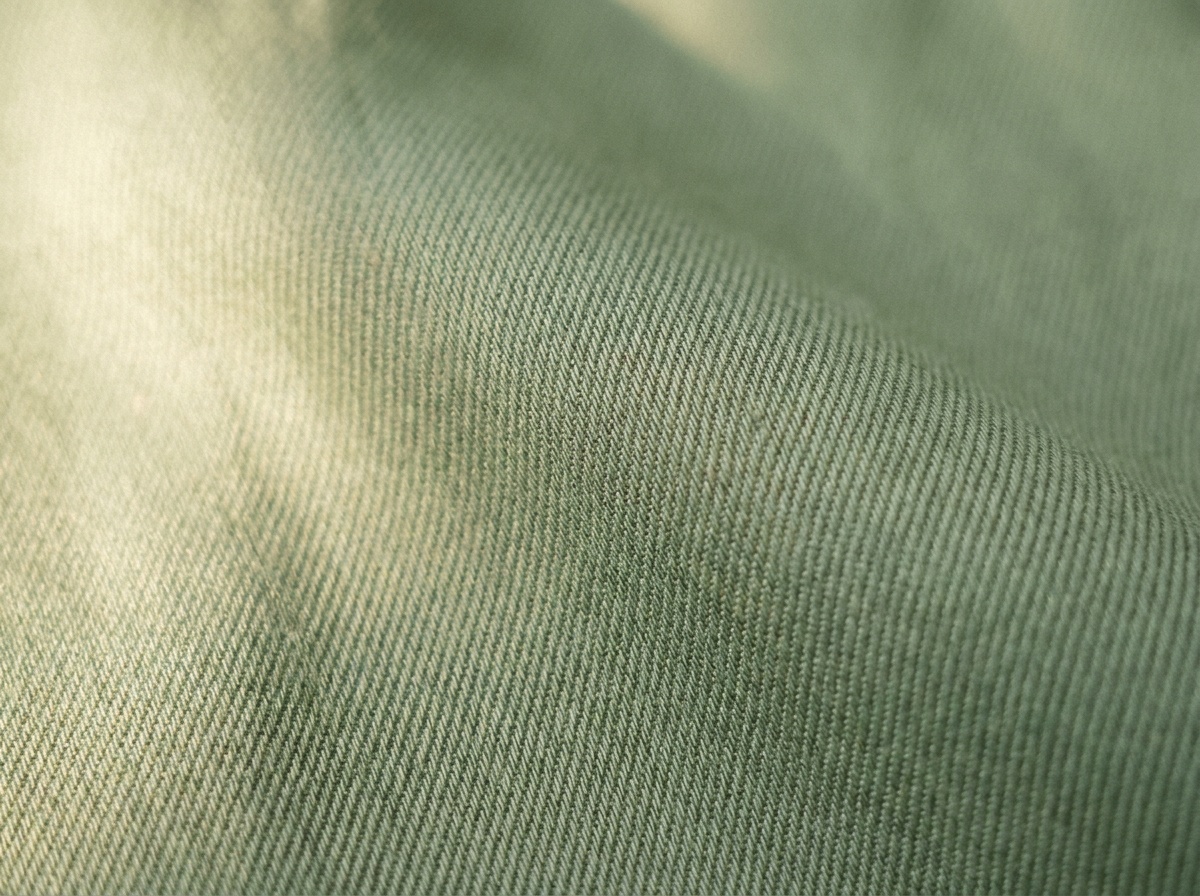 Macro reference image for Tencel Twill