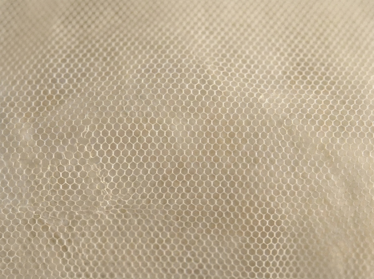 Macro close-up of Tulle, Hexagonal net